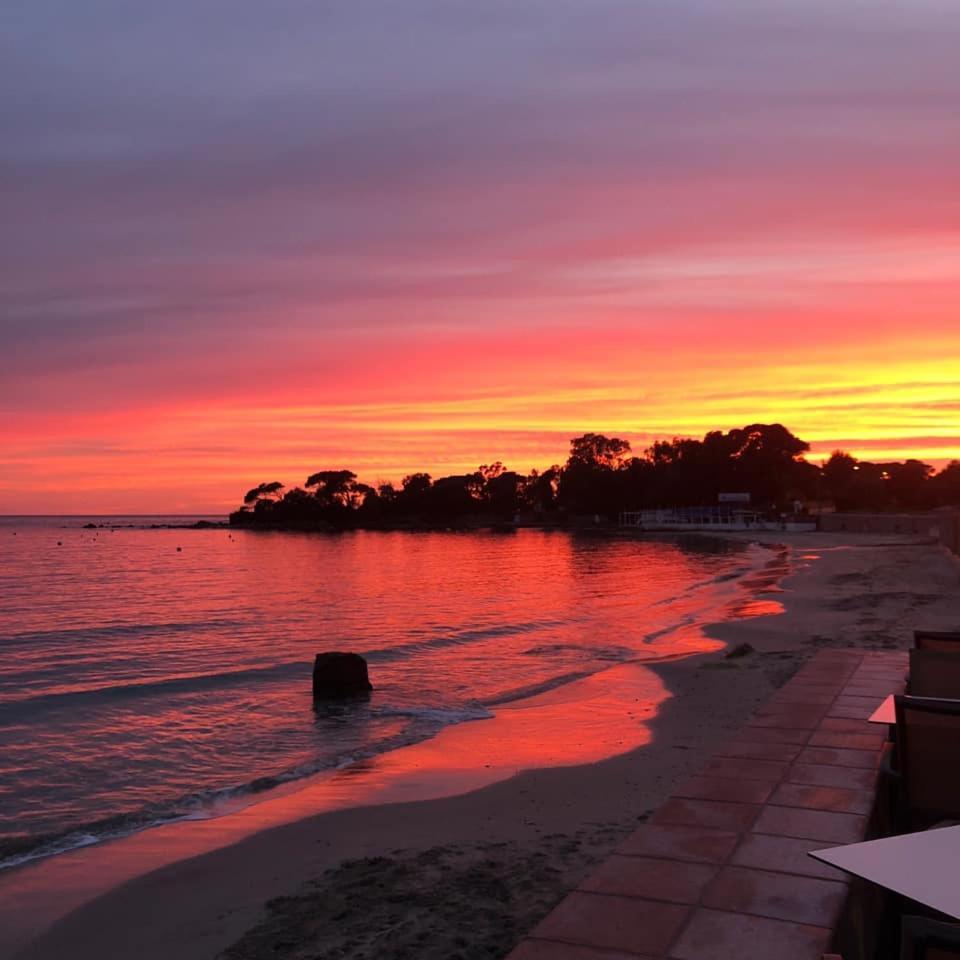 Palm Beach Ajaccio (Corsica) Exterior foto